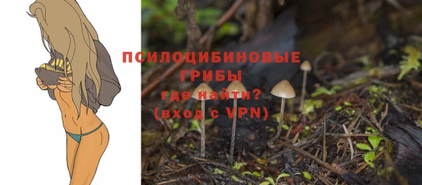 a pvp Инсар