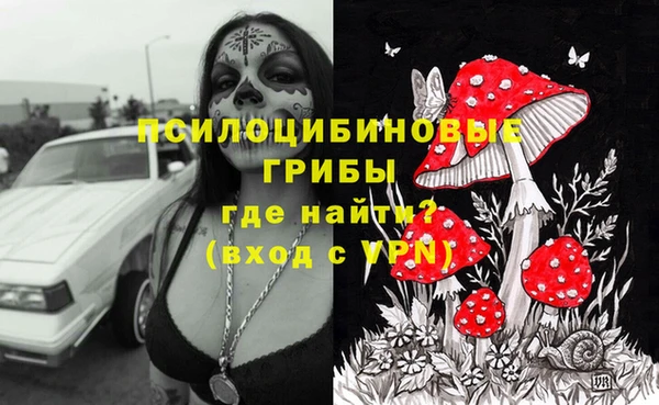 спиды Инта