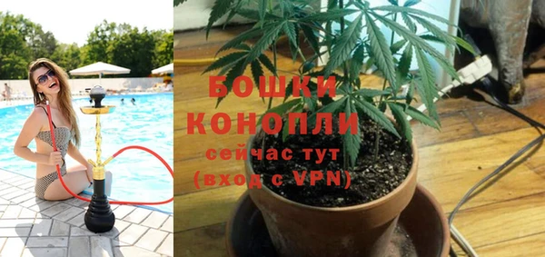 спиды Инта