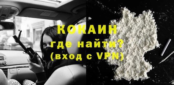 PSILOCYBIN Заводоуковск