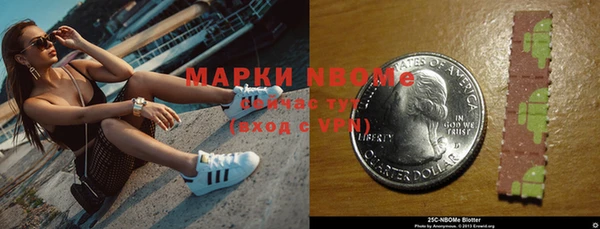 a pvp Инсар