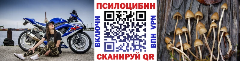 Псилоцибиновые грибы GOLDEN TEACHER  Курганинск 