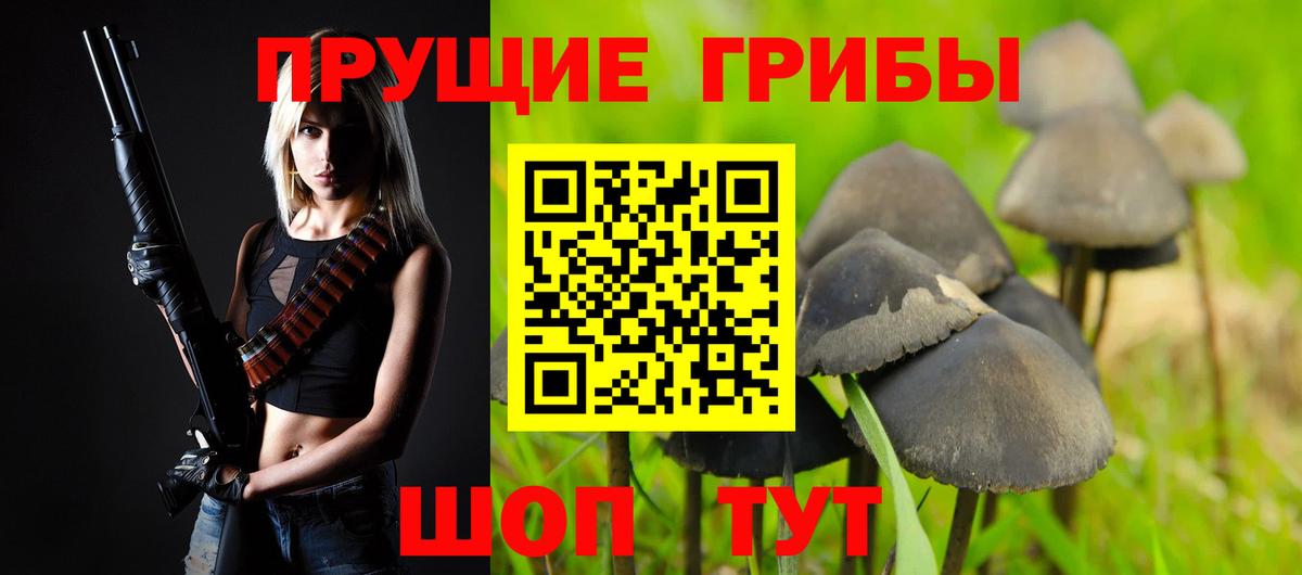 Псилоцибиновые грибы Psilocybine cubensis Курганинск