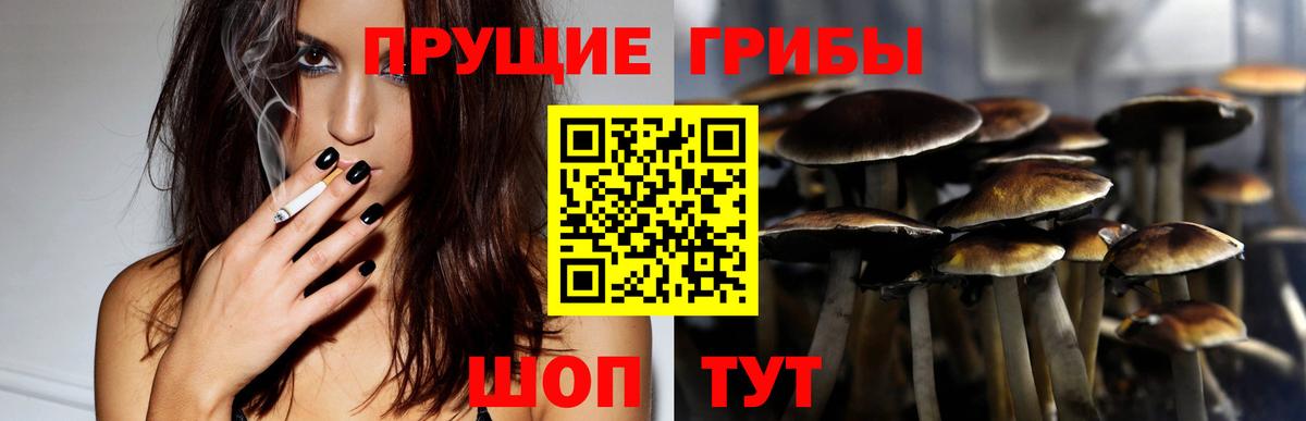 Псилоцибиновые грибы Psilocybe  Псилоцибиновые грибы GOLDEN TEACHER  Вход с VPN  Курганинск 