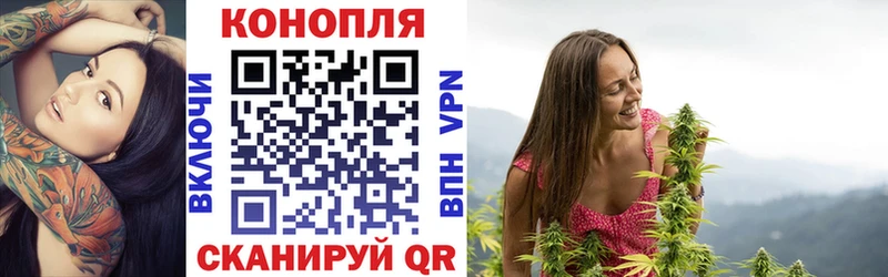 Марихуана конопля  как найти закладки  Курганинск 
